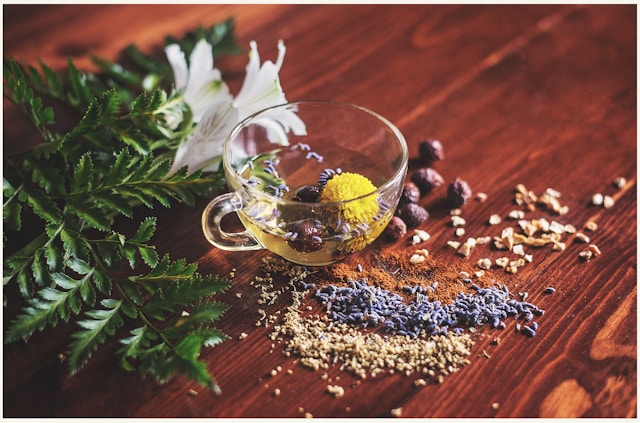 The 10 Best Herbal Teas for Relaxation and Better Sleep